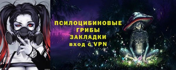 шишки Баксан