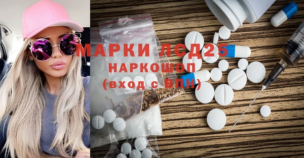 шишки Баксан